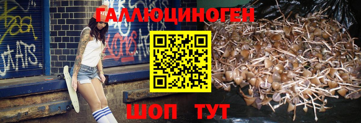 закладка  Вход с VPN  Звенигород  Псилоцибиновые грибы мицелий 